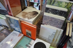 Buchhandlung Anakoluth Berlin Prenzlauer Berg